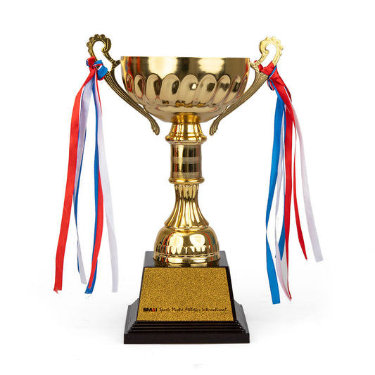 SMAI Trophy Cup - Large Martial Arts Award - martial arts accessories product photo
