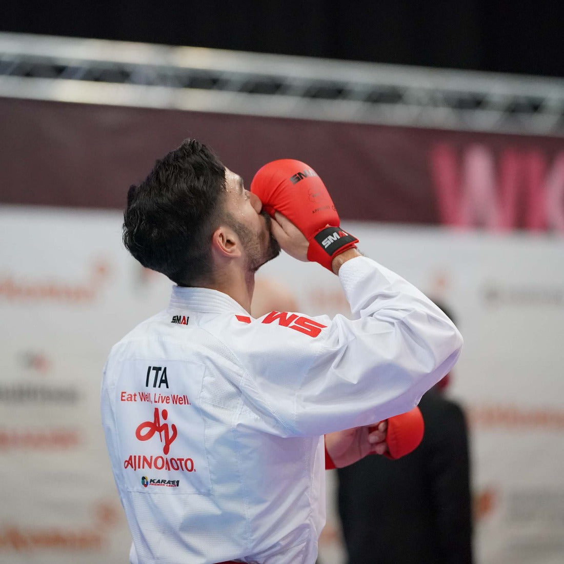 SMAI WKF Approved Karate Gloves - detail view 5